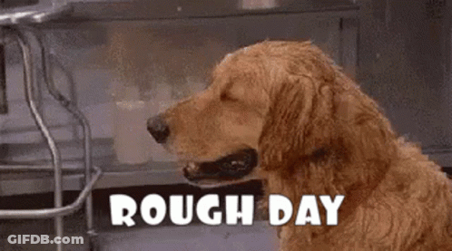 Man In Suit Saying It's Rough Out There GIF