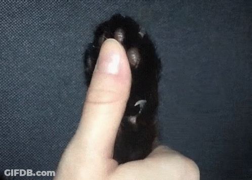 Man In Suit Saying Nothing Can Stop The Claw This Is You GIF