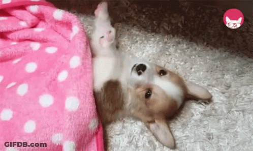 Man In Suit Says Good Bye And Take Care GIF
