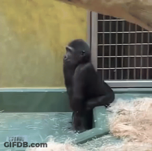 Man In Suit Says That's Horsesh*t To Group Of Men GIF