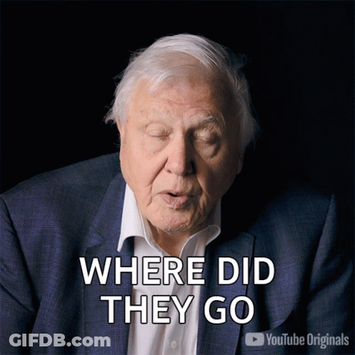 Man In Suit Says Where Did They Go YouTube Originals GIF