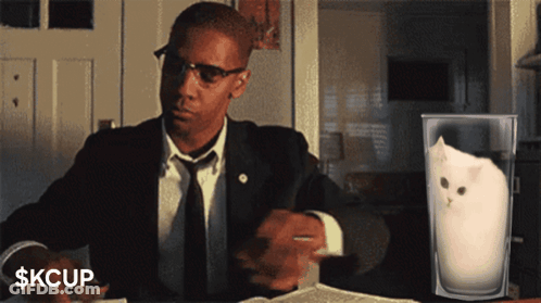 Man In Suit Sitting At Desk With Milk And Cat GIF