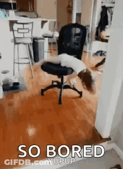 Man In Suit Sitting #Fallontonight GIF