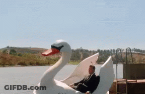 Man In Suit Sitting On Swan Pedal Boat GIF