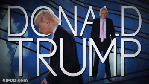 Man In Suit Standing Before Donald Trump GIF