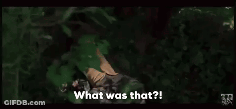 Man In Suit Standing In Woods Saying What Was That GIF
