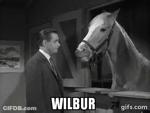 Man In Suit Standing Next To White Horse GIF