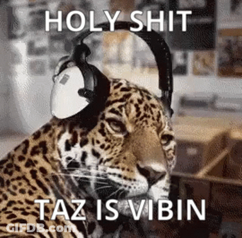 Man In Suit Sunglasses Says Joe Vibin GIF