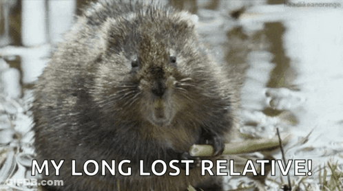 Man In Suit Talking On Phone GIF