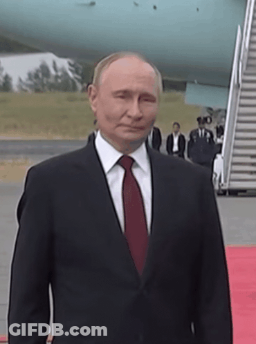 Man In Suit, Tie Red Carpet By Plane GIF