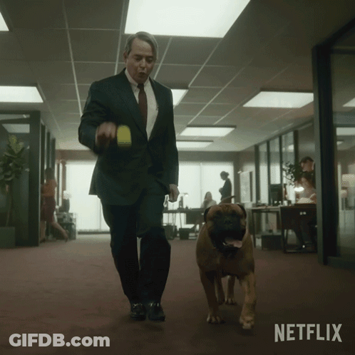 Man In Suit Walking Dog With Netflix Logo GIF