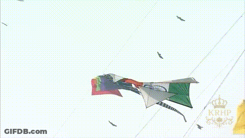 Man In Suit Watching Kites Flying GIF