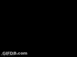 Man In Suit With Box Saying Absolute Bastonema GIF