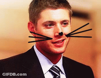 Man In Suit With Cat Whiskers GIF