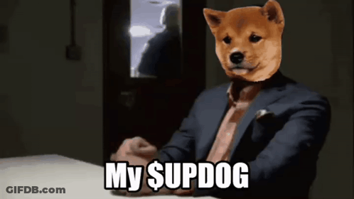 Man In Suit With Dog On Head My Supdog GIF