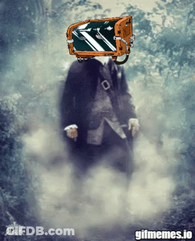 Man In Suit With Suitcase On Head Gifmemes.io GIF