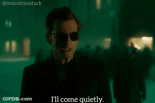 Man In Sunglasses And Black Jacket Says I'll Come Quietly GIF