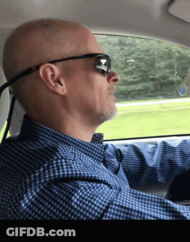 Man In Sunglasses And Blue Plaid Shirt Driving Car GIF