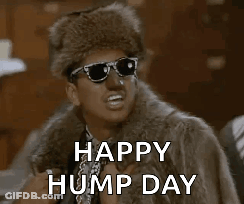 Man In Sunglasses And Fur Coat Says Happy Hump Day GIF