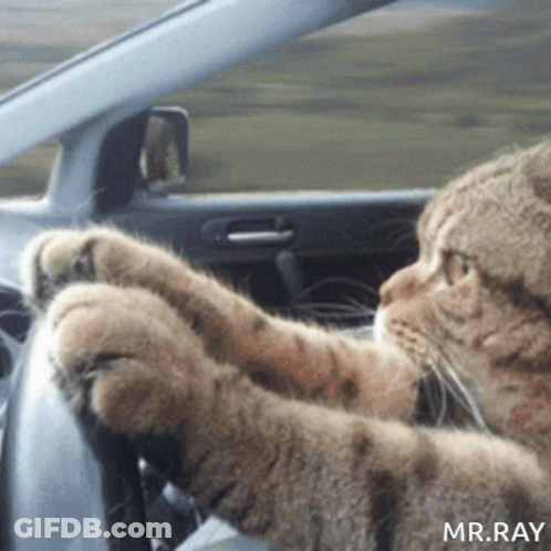 Man In Sunglasses And Hat Making Funny Face GIF