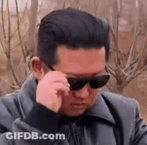 Man In Sunglasses And Jacket Covering Eyes GIF