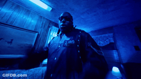 Man In Sunglasses And Jacket Saying King GIF