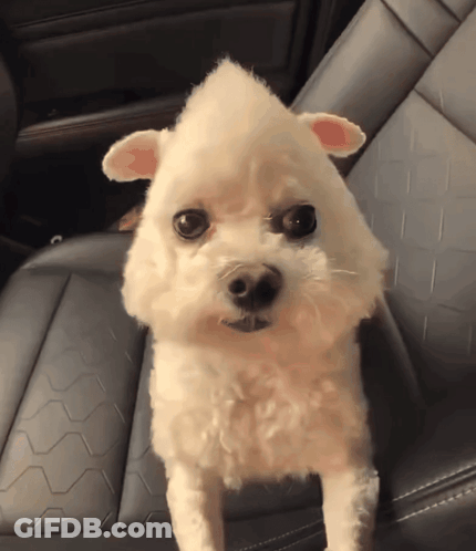 Man In Sunglasses And Leather Jacket Checking Watch GIF