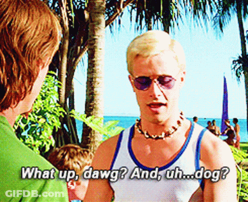 Man In Sunglasses And Necklace Talking Saying What Up Dawg And Uh Dog GIF