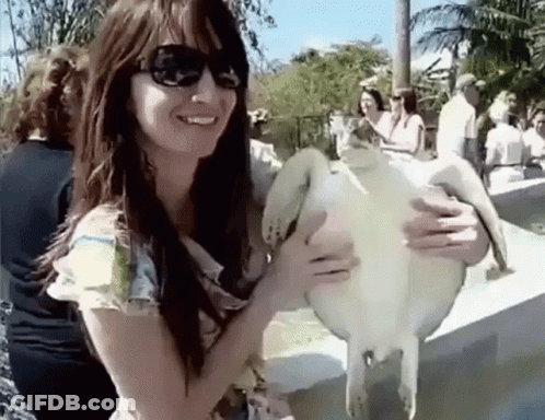 Man In Sunglasses And Orange Hat Dancing GIF