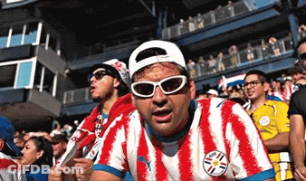 Man In Sunglasses And Paraguay Jersey In Crowd GIF