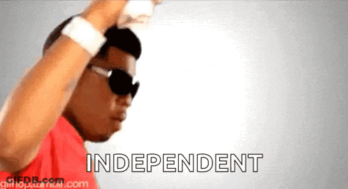 Man In Sunglasses And Red Shirt Dancing Independent GIF