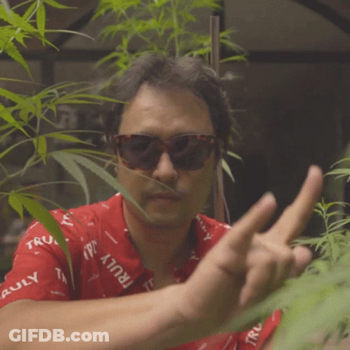 Man In Sunglasses And Red Shirt Giving Middle Finger GIF