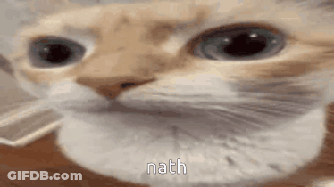Man In Sunglasses And Suit In Elevator GIF