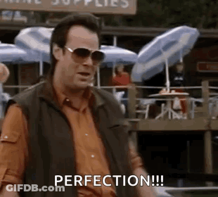 Man In Sunglasses And Vest Says Perfection GIF