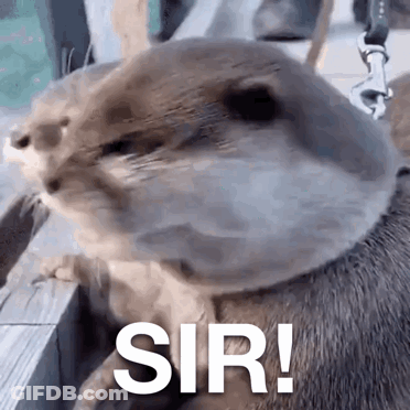Man In Sunglasses And White Tank Top Says A Little Bit Of Magic Dust GIF