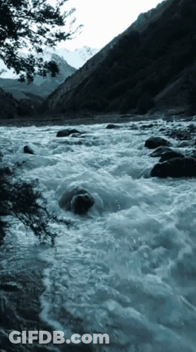 Man In Sunglasses By Mountain River GIF
