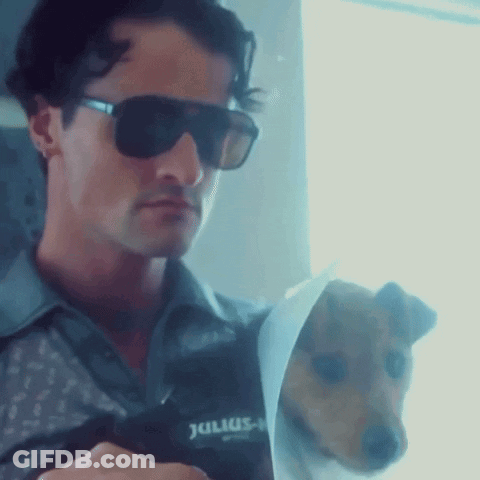 Man In Sunglasses Holding Dog With Julius GIF
