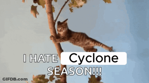 Man In Sunglasses Holding Football In Front Of Iowa State Sign GIF