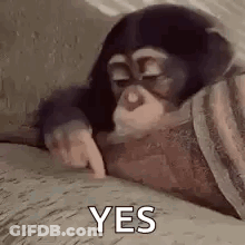 Man In Sunglasses Says I Just Wanna Go Home Netflix GIF