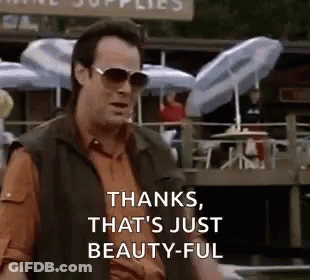 Man In Sunglasses Says Thanks That's Just Beautiful GIF