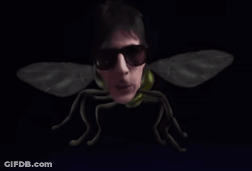 Man In Sunglasses With Big Fly Wings GIF