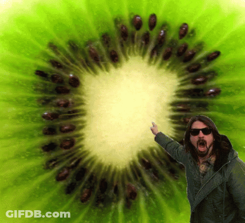 Man In Sunglasses With Large Kiwi Slice GIF