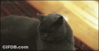 Man In Superman Costume In Dark GIF