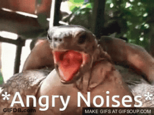 Man In Surgical Cap And Mask Says Cool Beans GIF
