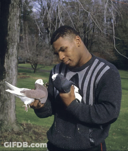 Man In Sweater Holding Two Pigeons GIF