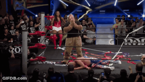 Man In Teddy Bear Costume With Ring Of Honor Sign GIF