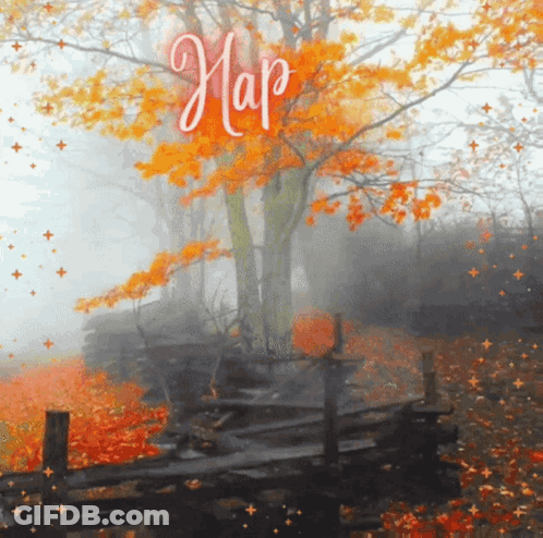 Man In Tie Sitting At Kitchen Table GIF