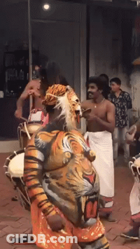 Man In Tiger Costume Playing Drums GIF