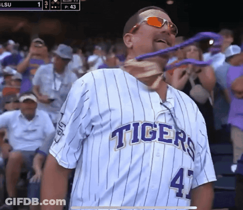 Man In Tigers Jersey 41 GIF