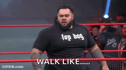 Man In Top Dog Shirt In Wrestling Ring Says Walk Like GIF